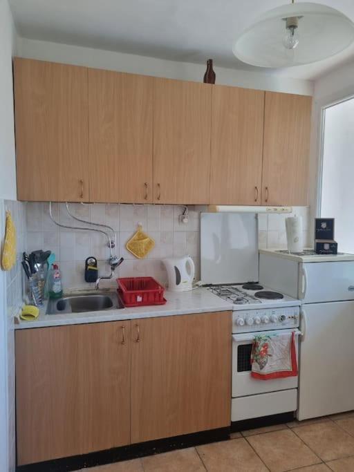 Studio Apartman Luna カルロヴァッツ エクステリア 写真